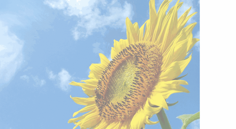 f:id:yuiazu1116:20130810144631g:image f:id:yuiazu1116:20130810144631g:image