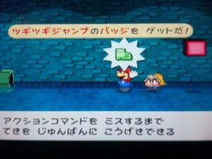 ペーパーマリオｒｐｇ縛りプレイ日記2 タマゴの日記 1 3
