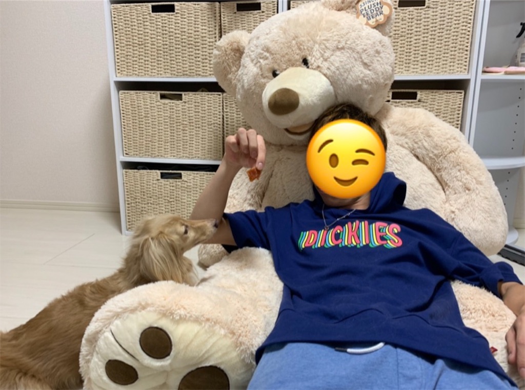 f:id:yuichan53world:20190807213030j:image f:id:yuichan53world:20190807213030j:image