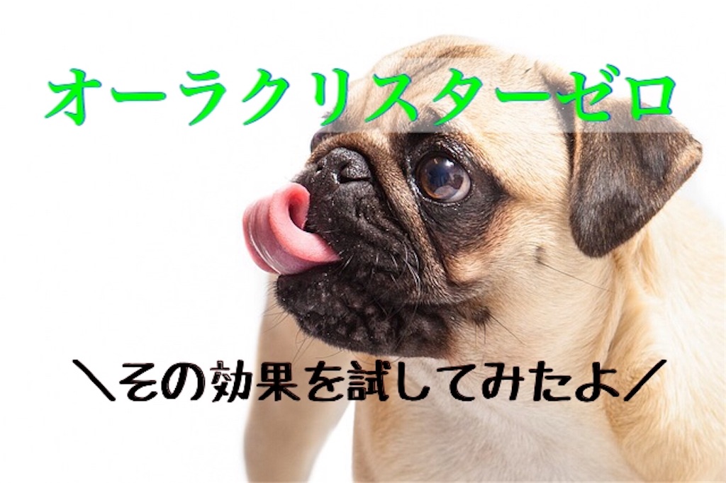 f:id:yuichi0519:20191102143538j:image f:id:yuichi0519:20191102143538j:image