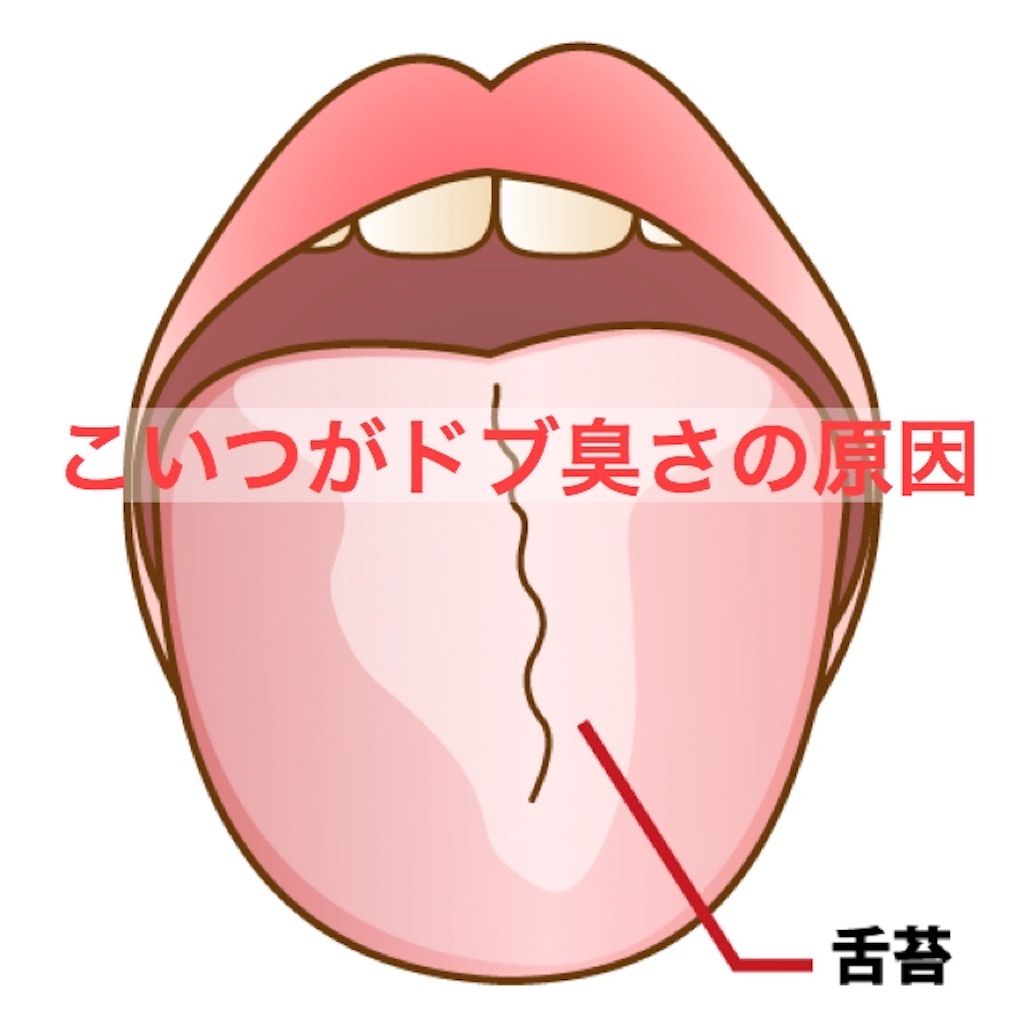 f:id:yuichi0519:20191102144236j:image f:id:yuichi0519:20191102144236j:image