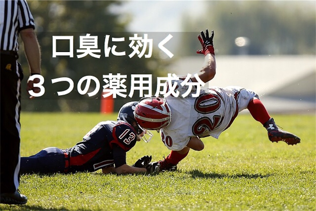 f:id:yuichi0519:20191102161456j:image f:id:yuichi0519:20191102161456j:image