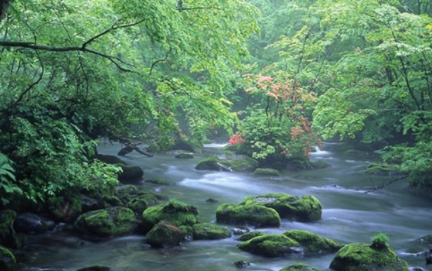 f:id:yuichi44:20170718100924p:plain f:id:yuichi44:20170718100924p:plain