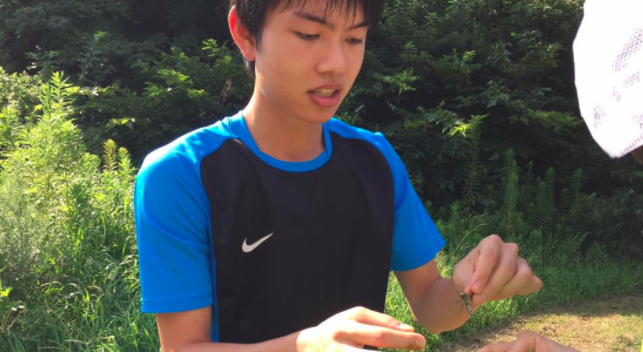 f:id:yuichi44:20170822145956p:plain f:id:yuichi44:20170822145956p:plain