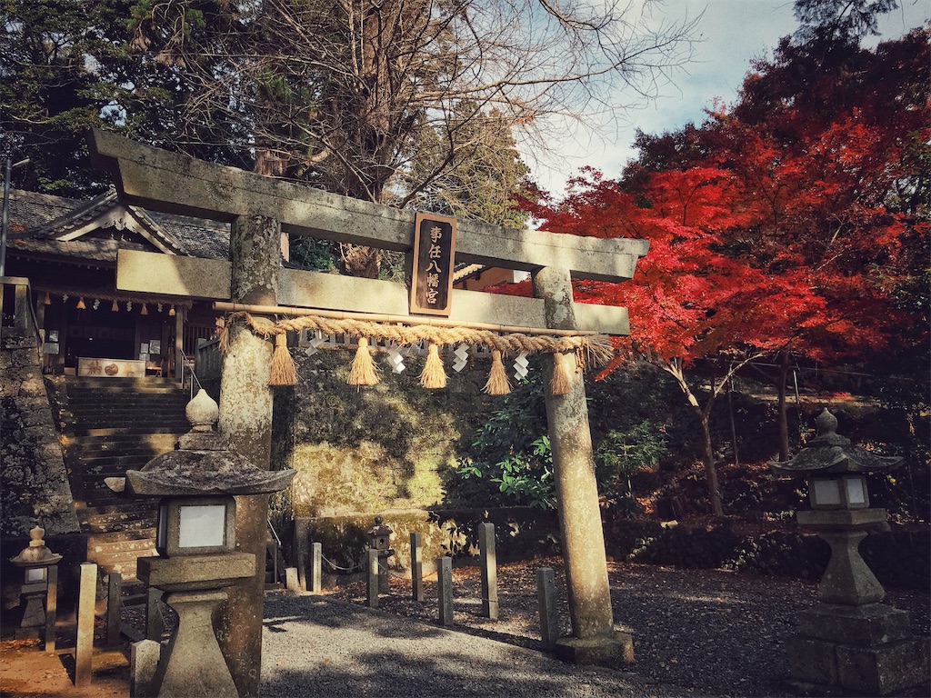 f:id:yuichi_NpsNgs:20201211121323j:image f:id:yuichi_NpsNgs:20201211121323j:image