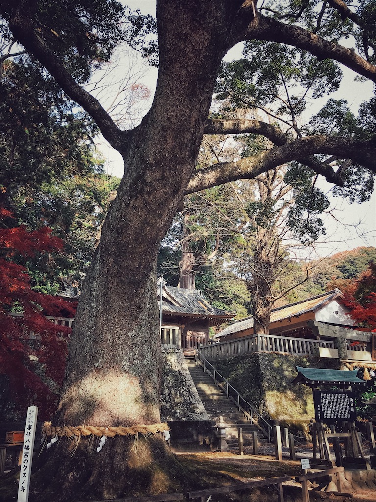 f:id:yuichi_NpsNgs:20201211121447j:image f:id:yuichi_NpsNgs:20201211121447j:image