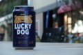 [ビール]黄桜　LUCKY DOG