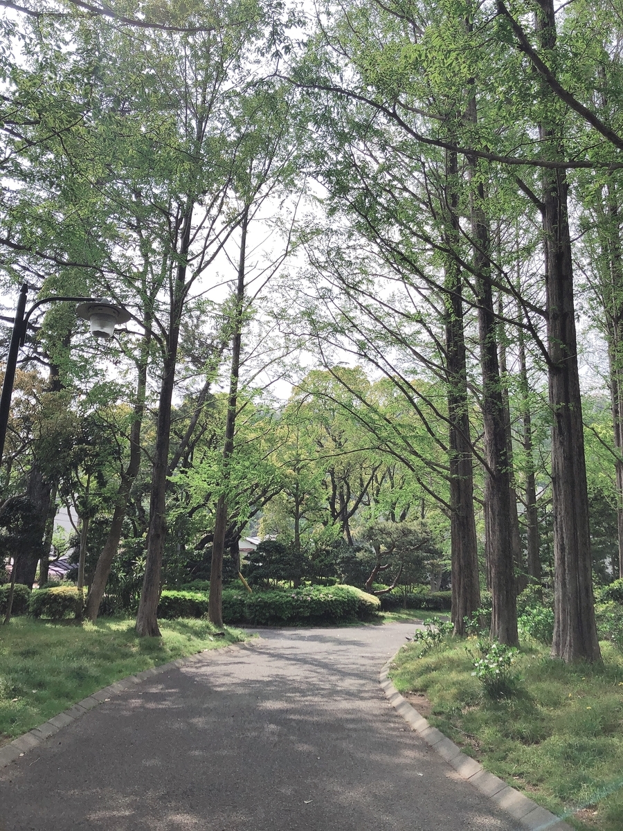f:id:yuichimux:20190426190010j:plain