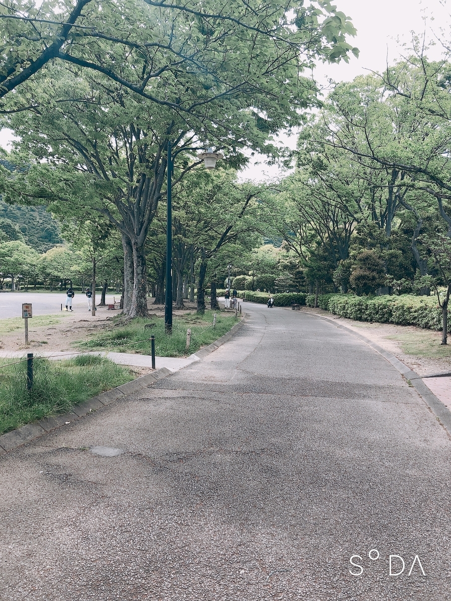 f:id:yuichimux:20190512153829j:plain