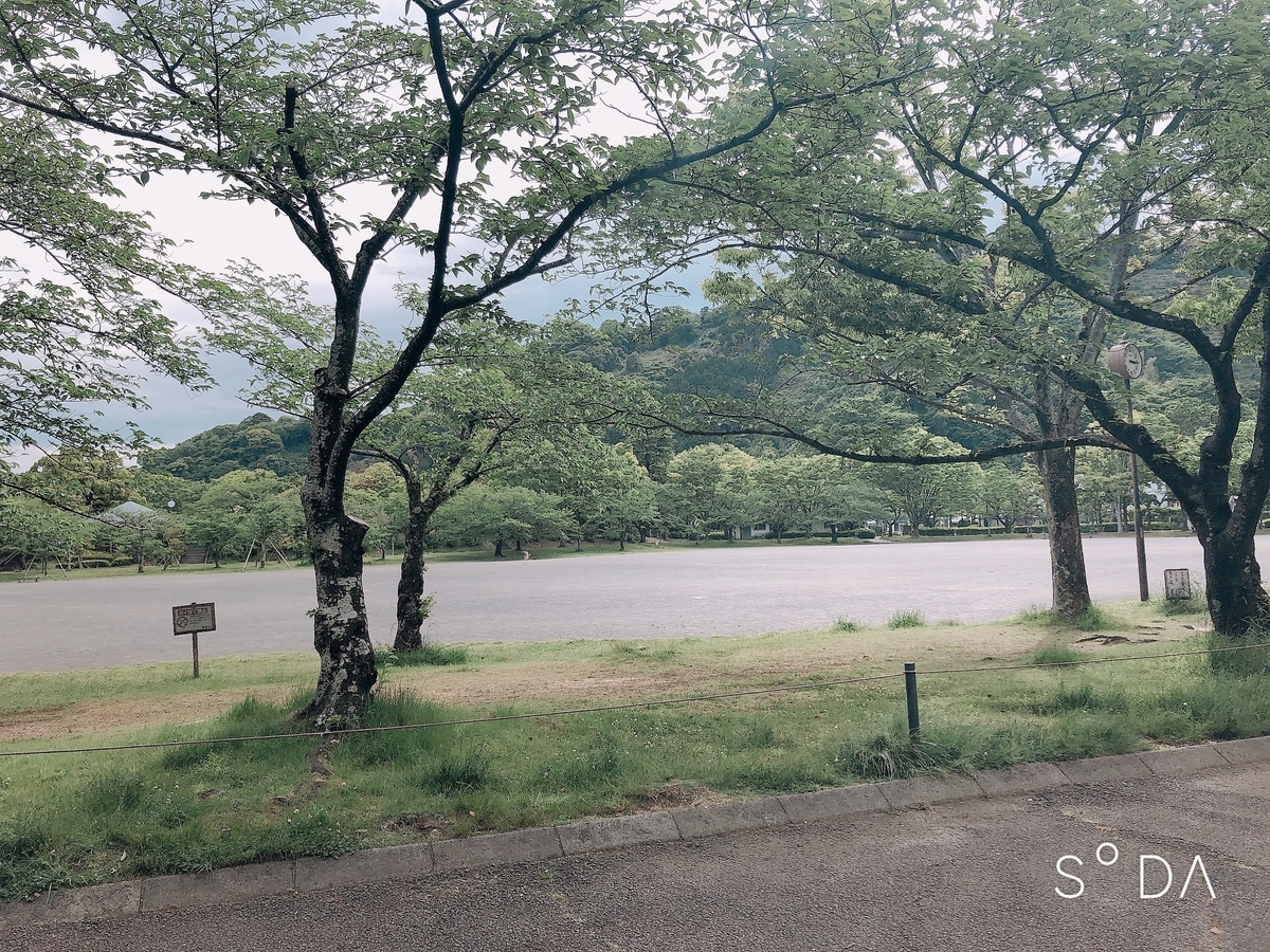 f:id:yuichimux:20190512153936j:plain