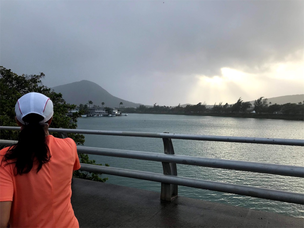 f:id:yuicoccow:20200513081349j:image