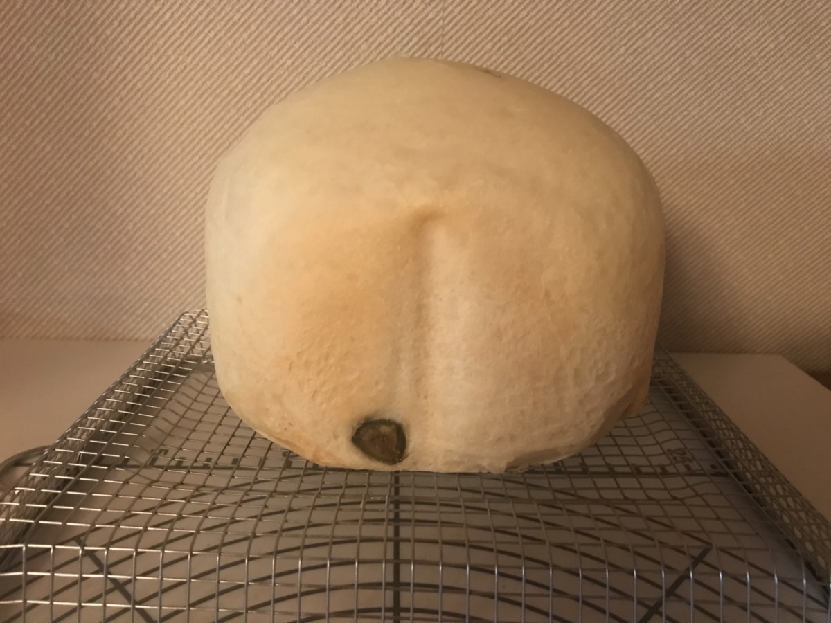オリーブ食パン 完成 横