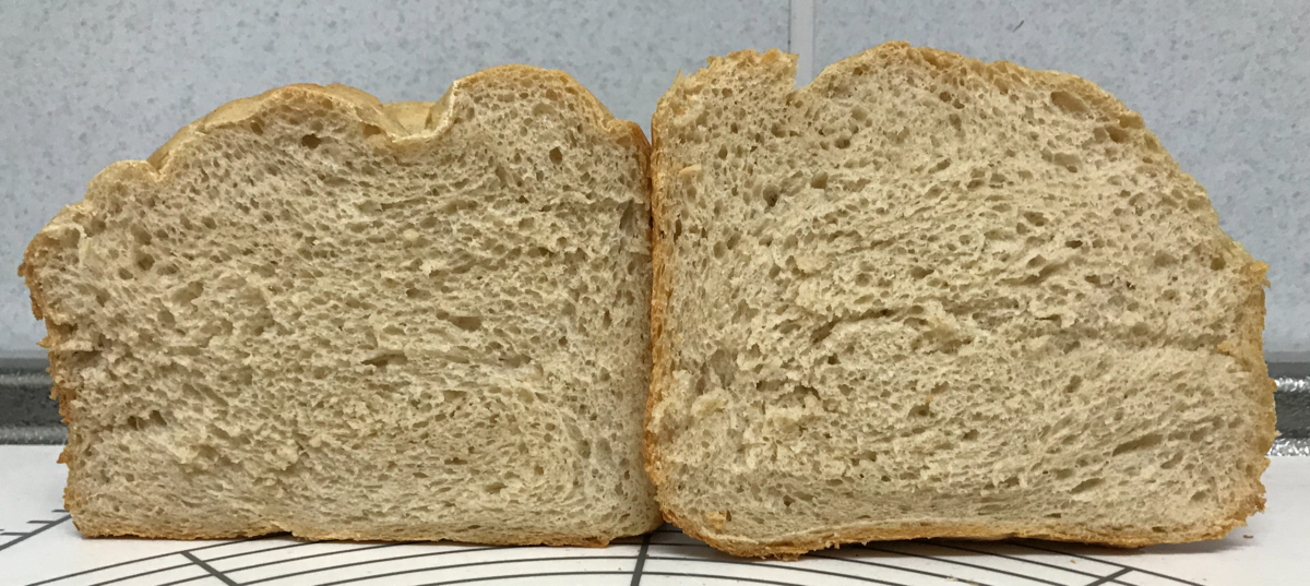 玄米 食パン 断面