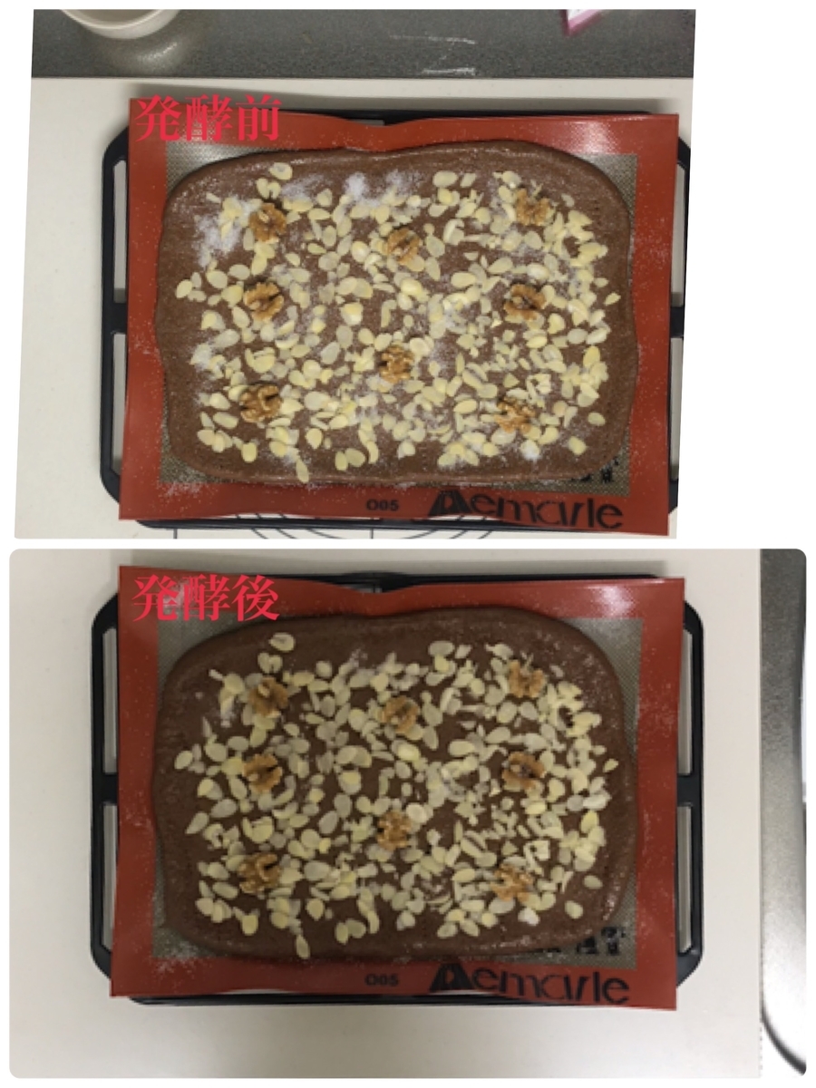 パン作り　発酵目安　初心者