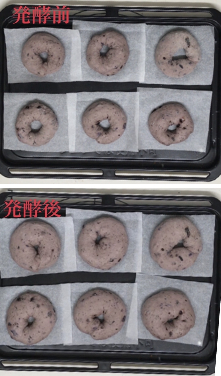 ベーグル　発酵　目安