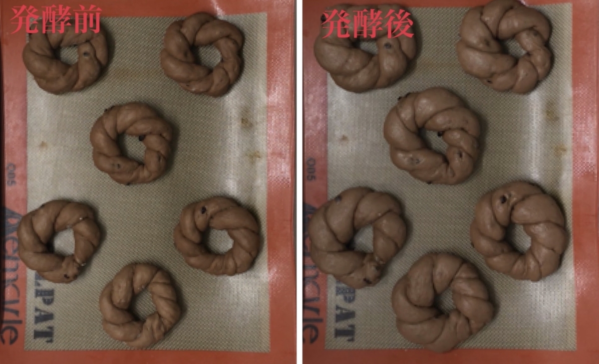 二次発酵　目安　パン作り