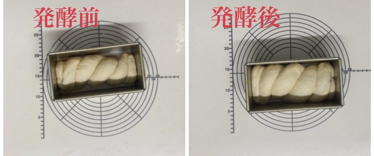 食パン型　発酵　目安