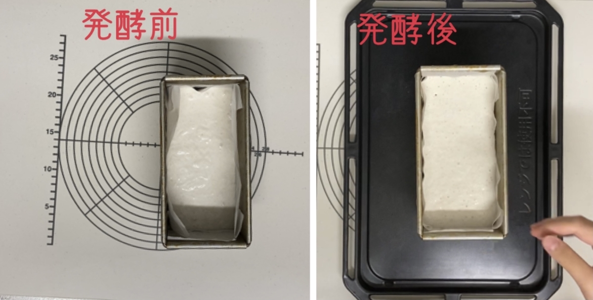 米粉食パン　発酵前との比較