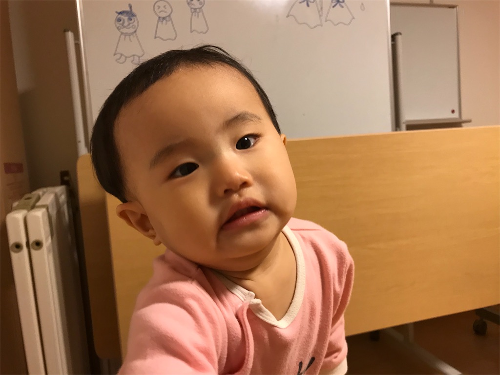 f:id:yuika2ndchance:20181116190351j:image