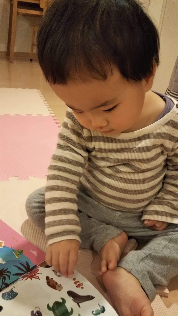 f:id:yuika2ndchance:20181216212727j:image