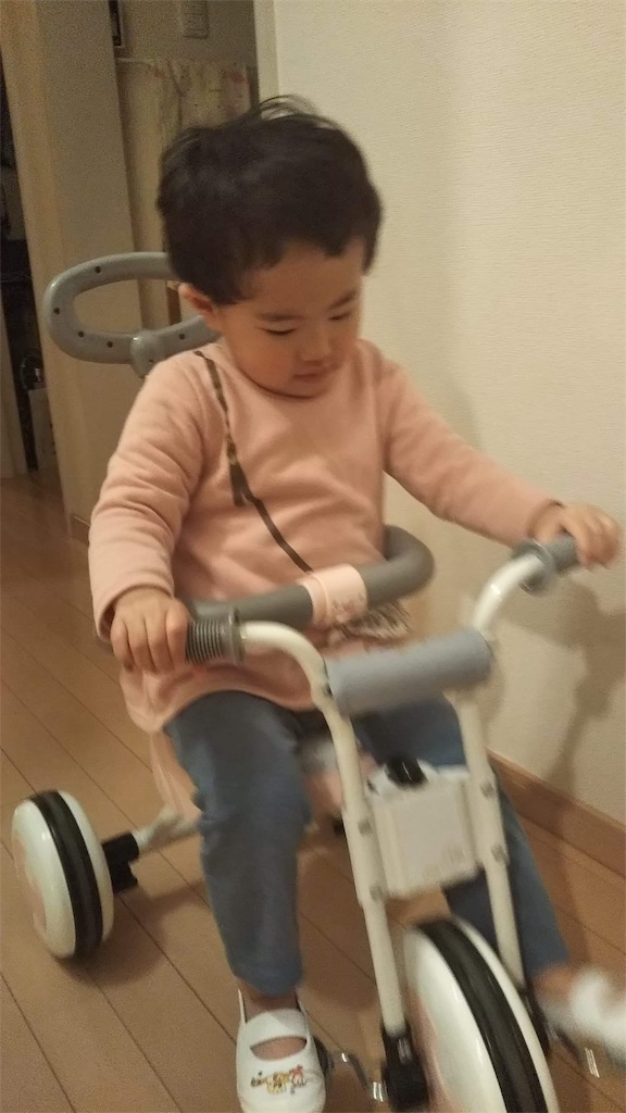 f:id:yuika2ndchance:20200214204137j:image