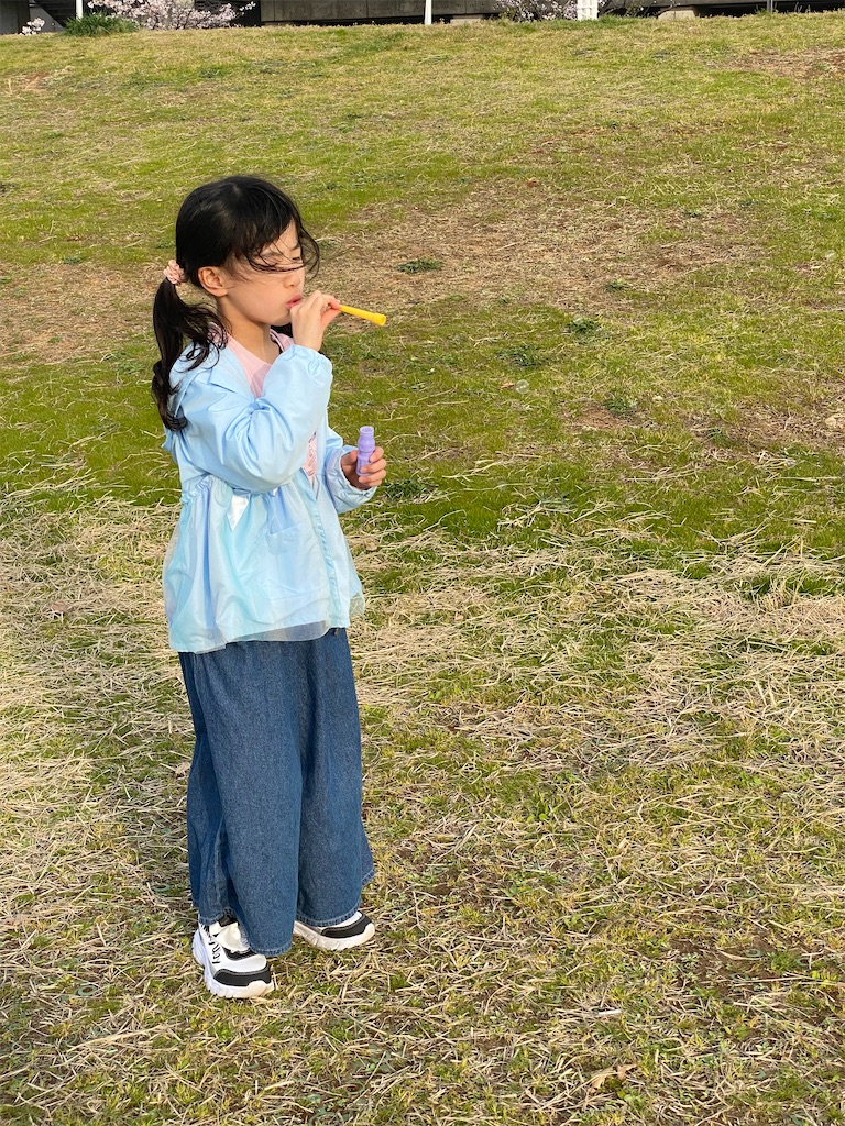 f:id:yuika2ndchance:20240415165644j:image