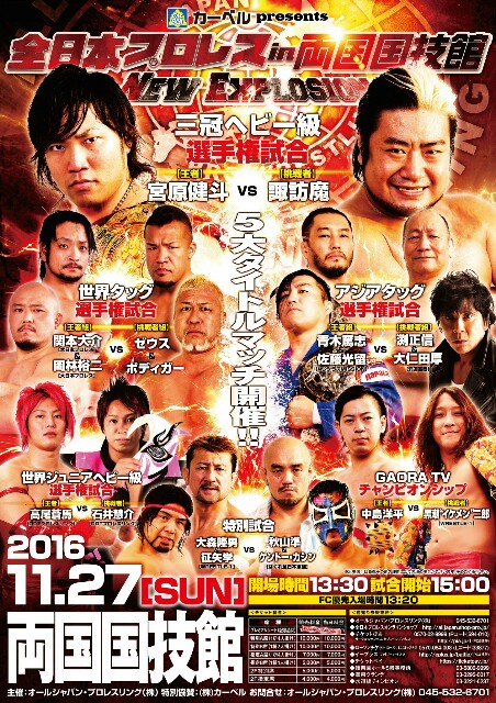 プロレスポスター7枚 0101 やどる