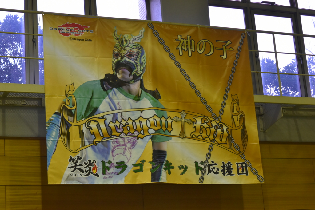 f:id:yuikaoriyui:20170201001554j:plain