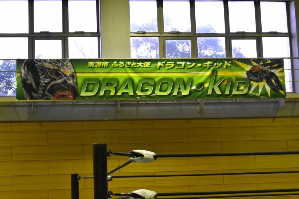 f:id:yuikaoriyui:20170201001555j:plain