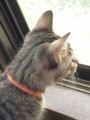 20140913134405