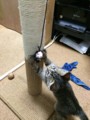 20141023194148