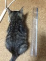 20141023194544