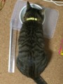 20141023194622