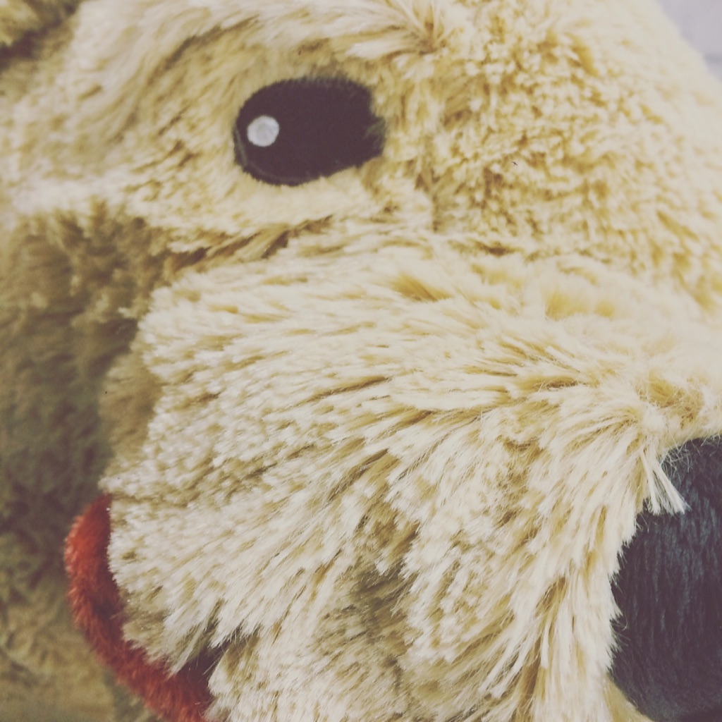 f:id:yuiko0611549:20161104002626j:image f:id:yuiko0611549:20161104002626j:image