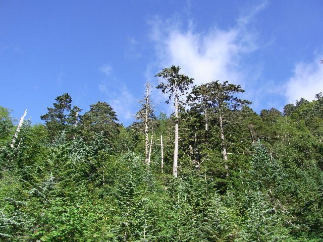 f:id:yuimar:20100720200703j:image:w510