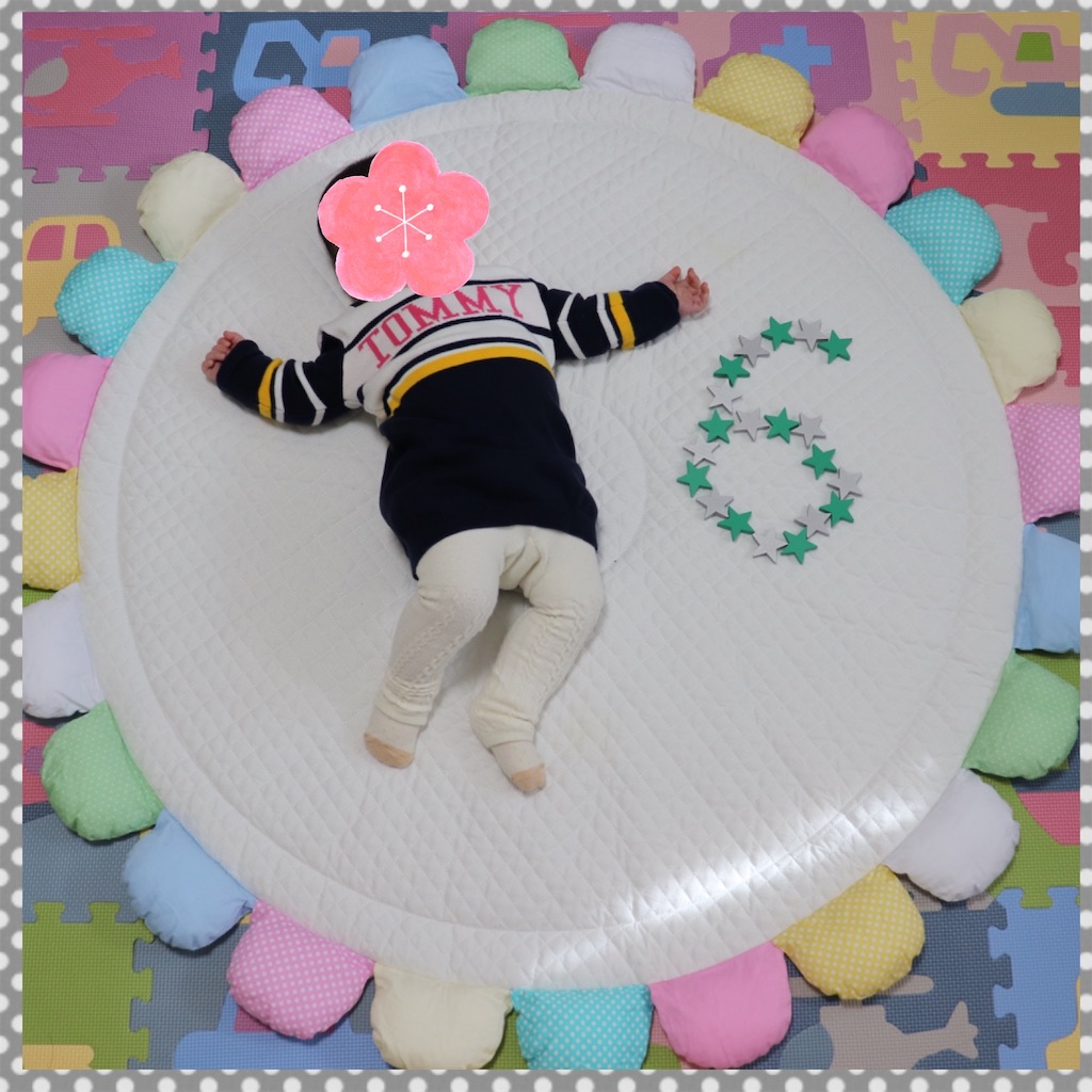 f:id:yuimaru0621:20190122200930j:image f:id:yuimaru0621:20190122200930j:image