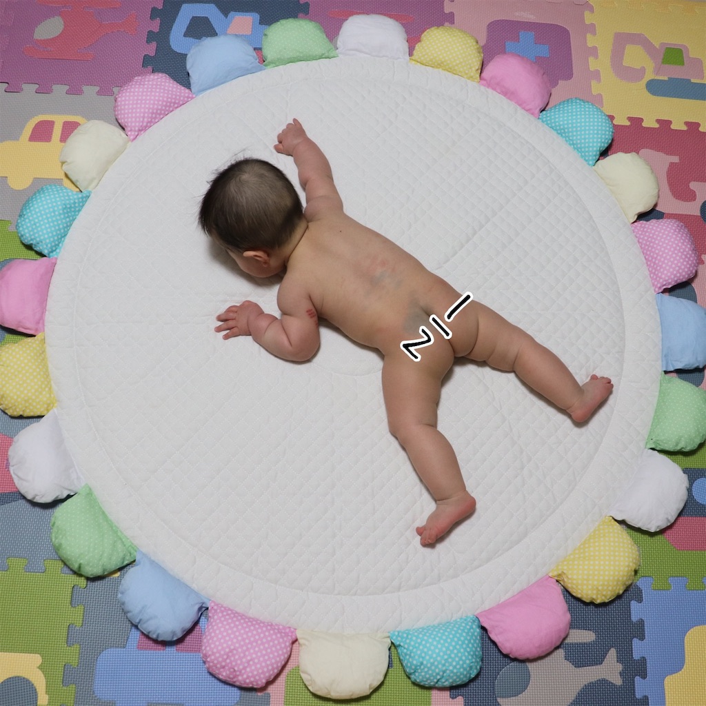 f:id:yuimaru0621:20190122200942j:image f:id:yuimaru0621:20190122200942j:image