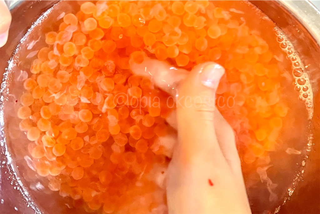アニサキス処理をした生筋子を水で洗っている