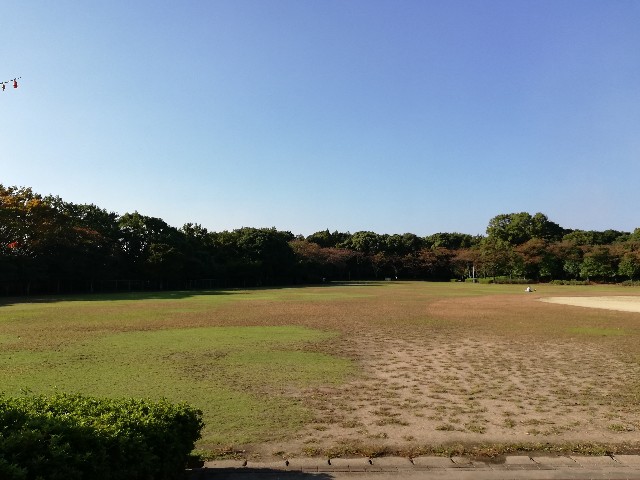 f:id:yuinamama:20181024225629j:plain f:id:yuinamama:20181024225629j:plain