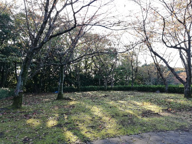 f:id:yuinamama:20181024231303j:plain f:id:yuinamama:20181024231303j:plain