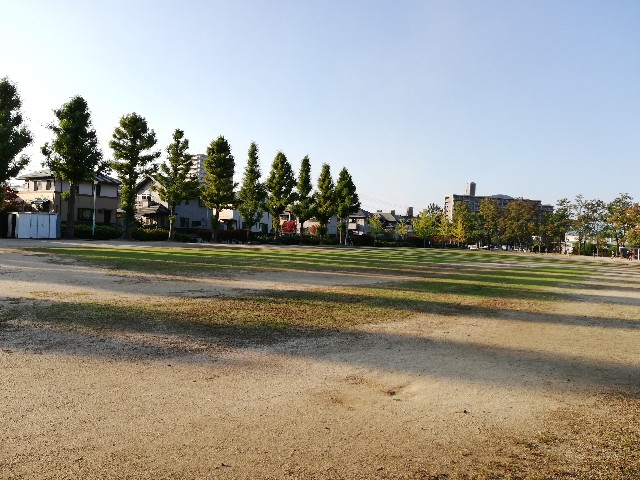f:id:yuinamama:20181025001712j:plain f:id:yuinamama:20181025001712j:plain
