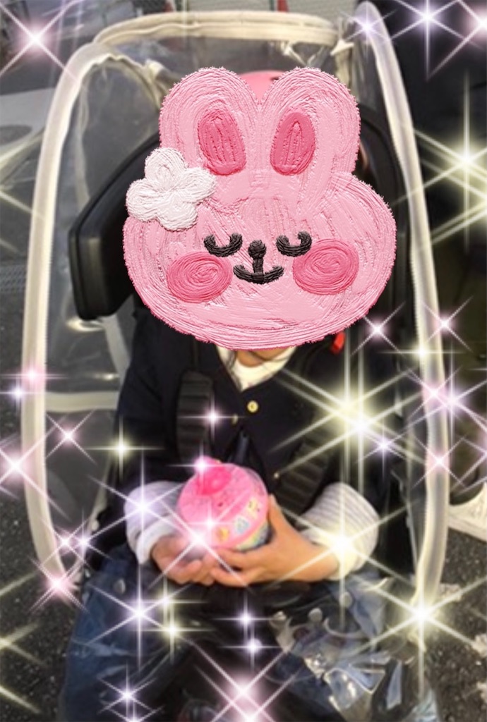 f:id:yuinammy:20210320011008j:image