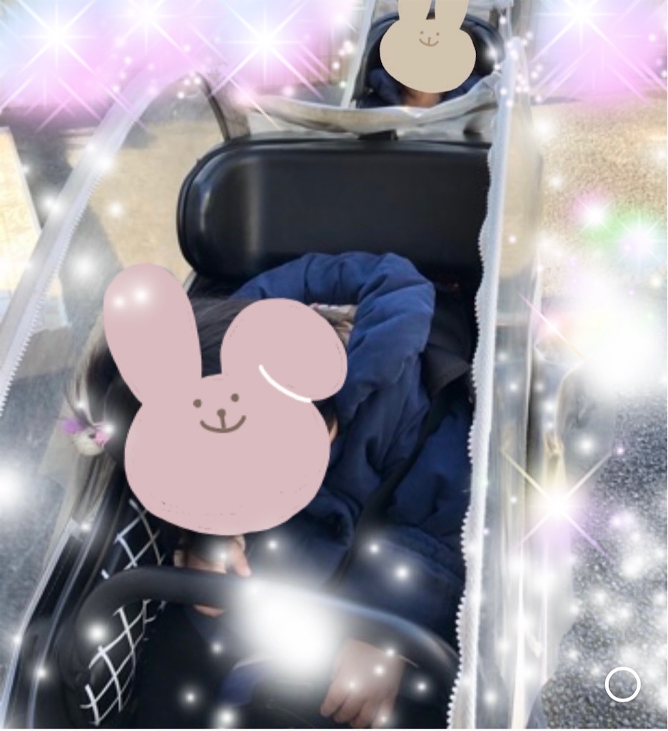 f:id:yuinammy:20210320011112j:image