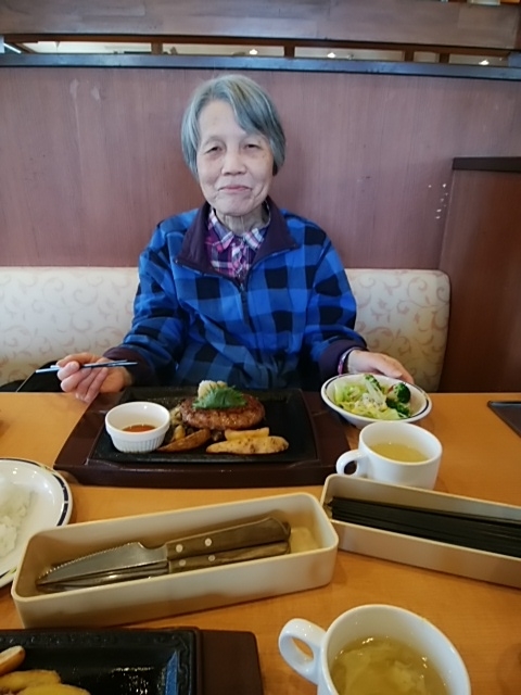 f:id:yuinomori:20190218153004j:plain f:id:yuinomori:20190218153004j:plain