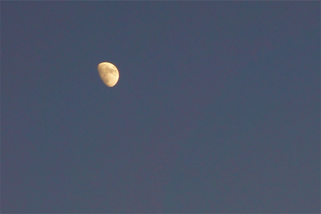 f:id:yuiponne1030:20161215024109j:image