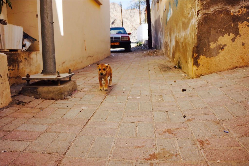f:id:yuiponne1030:20161222154619j:image