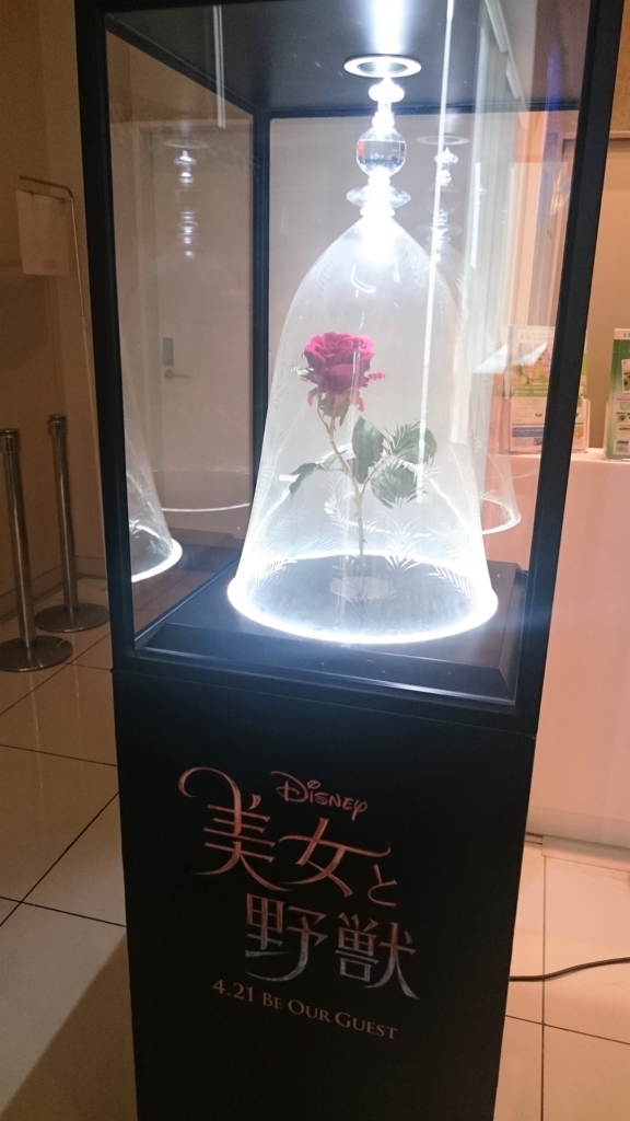 f:id:yuipop:20170604013326j:plain f:id:yuipop:20170604013326j:plain