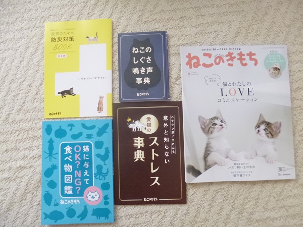 ねこのきもちの付録の猫じゃらしがすっかり気に入って夢中の愛猫です Ilovecats Blog