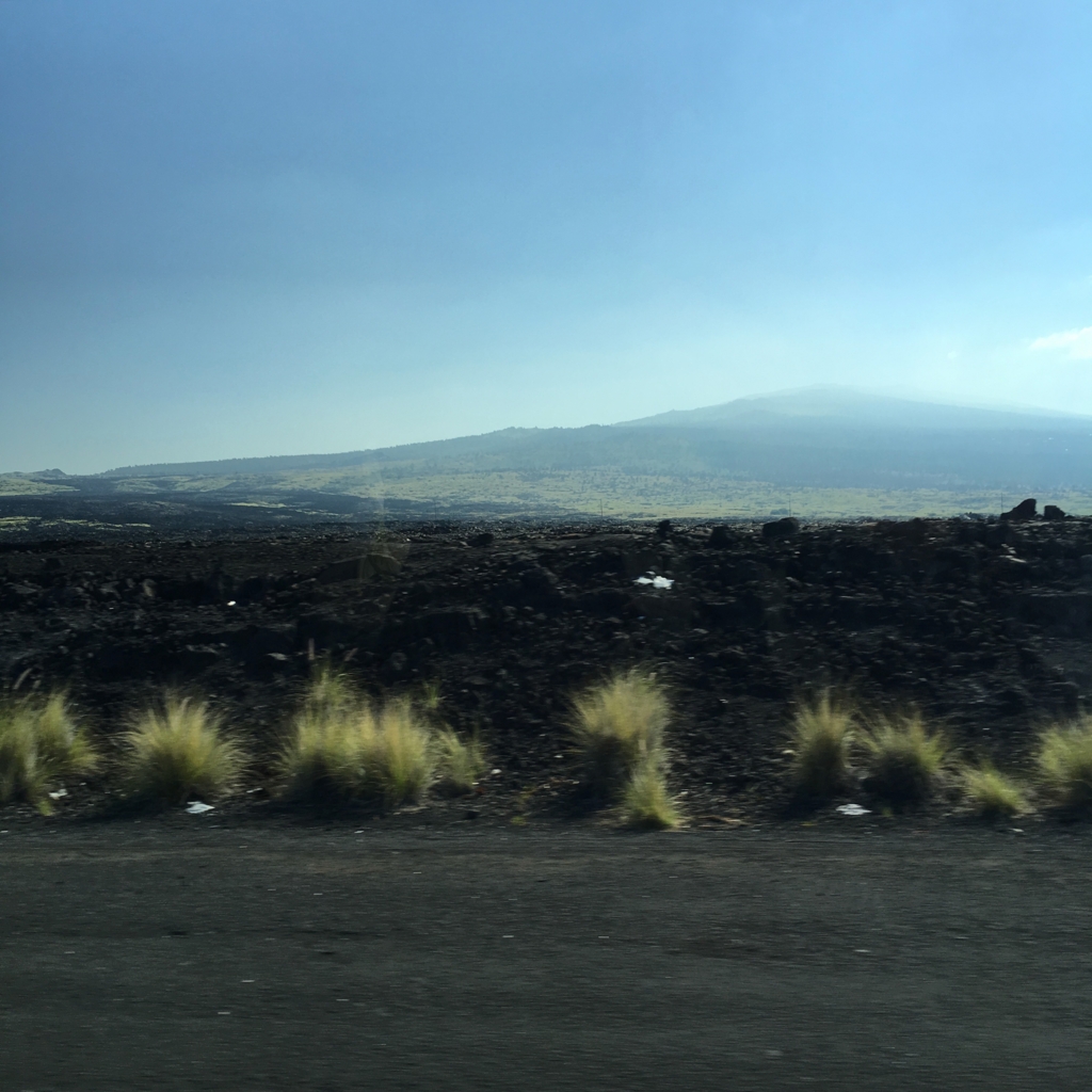 f:id:yuito33:20170123100746j:plain