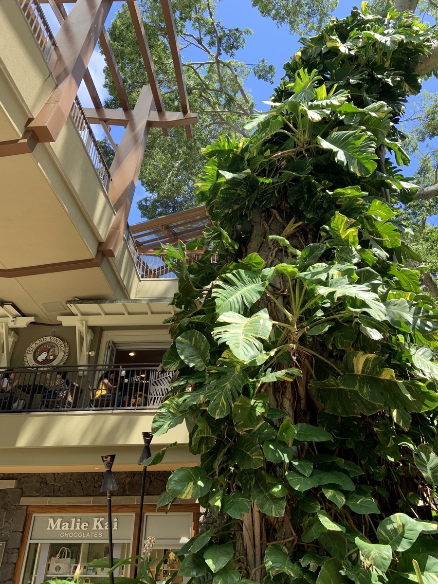 f:id:yuito33:20190331140746j:plain f:id:yuito33:20190331140746j:plain
